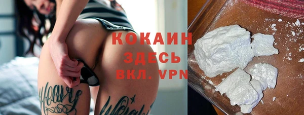 альфа пвп Туринск