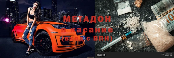 крисы Тында